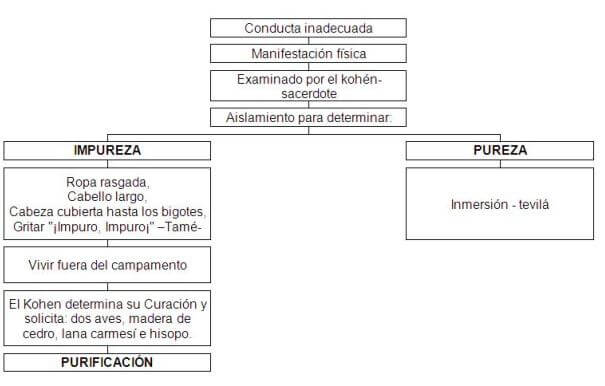 tzarat1