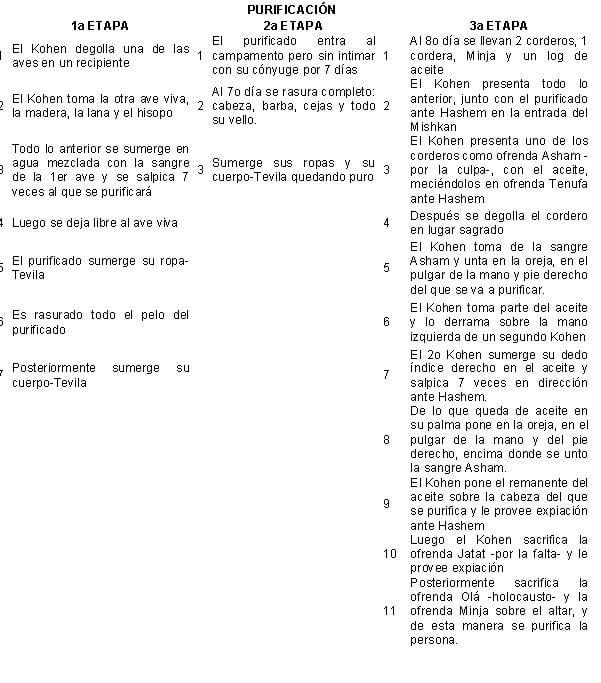 tzarat2